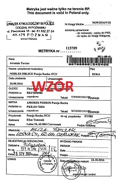 wzór metryki