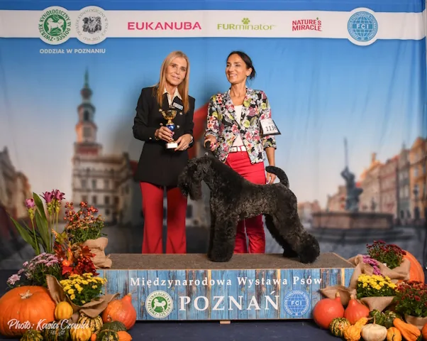 aston_poznan2024_2567_h480