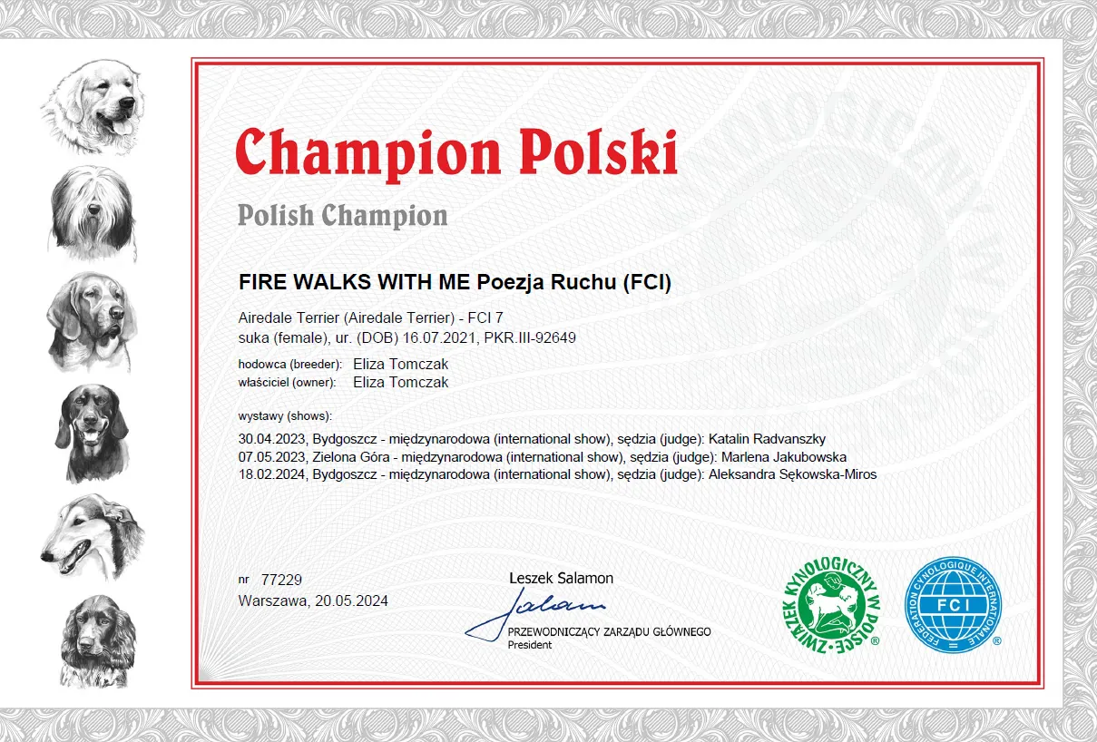 ch_pl_joyka_w340