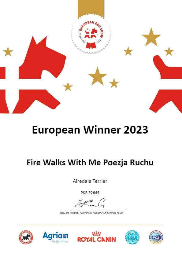 europa_joyka