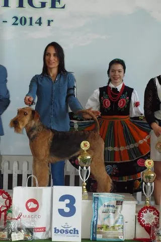 masza