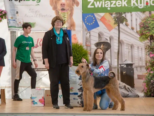 morgan łódź na grupie