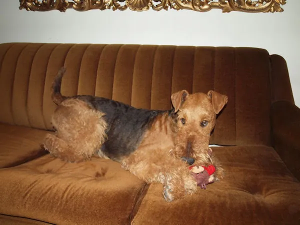 Miot S2