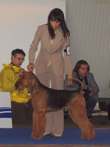 roni_zwyciezca_europy_2010