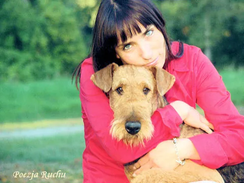 airedale RENOIR Poezja Ruchu