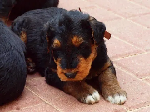 Miot'U'